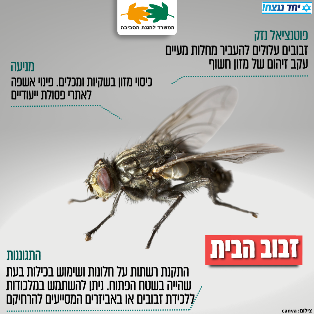 הסכנה והמניעה במזיקים כמו יתושיםזבובים חולדותתיקנים משק נט 